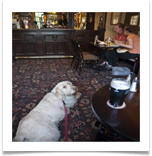 Dog friendly - Bill Rigby